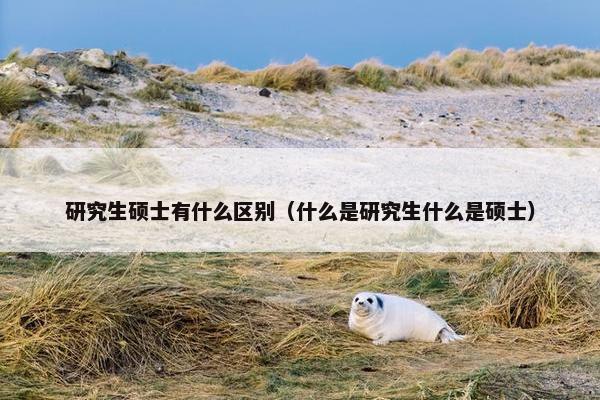 研究生硕士有什么区别（什么是研究生什么是硕士）