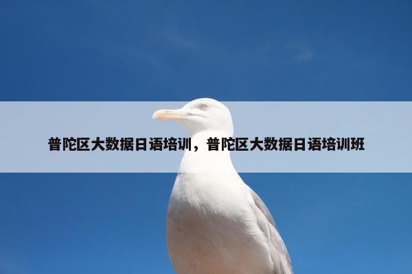 普陀区大数据日语培训，普陀区大数据日语培训班