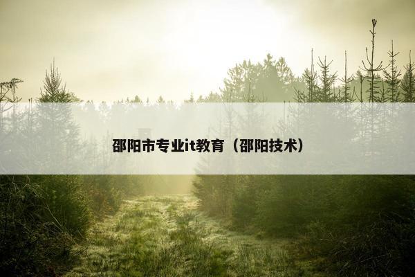 邵阳市专业it教育（邵阳技术）