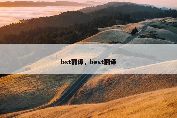 bst翻译，best翻译