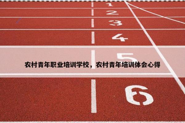 农村青年职业培训学校，农村青年培训体会心得