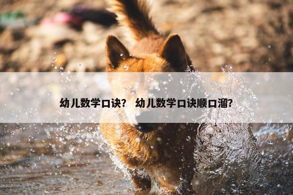幼儿数学口诀？ 幼儿数学口诀顺口溜？