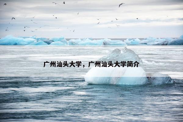 广州汕头大学，广州汕头大学简介