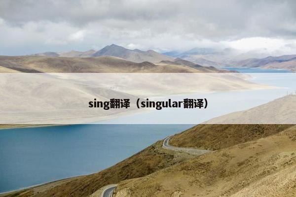 sing翻译（singular翻译）