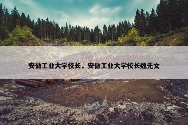安徽工业大学校长，安徽工业大学校长魏先文