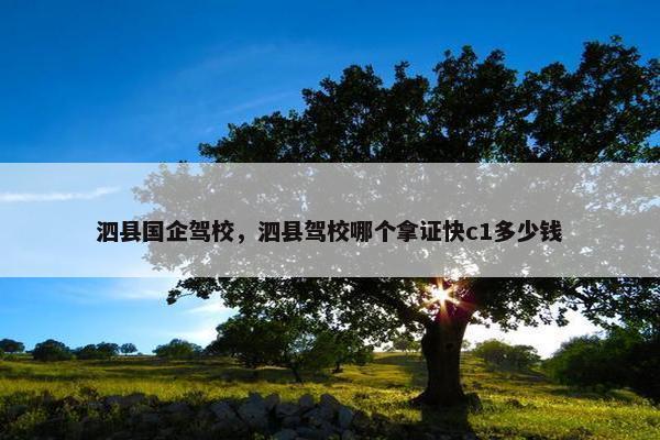 泗县国企驾校，泗县驾校哪个拿证快c1多少钱