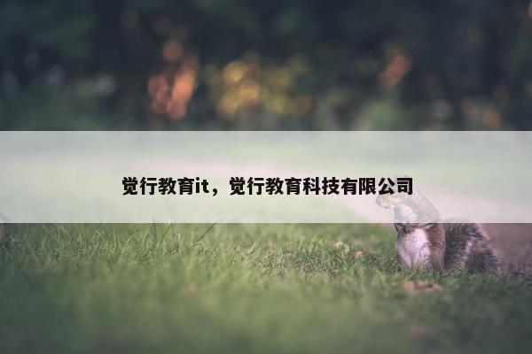 觉行教育it，觉行教育科技有限公司
