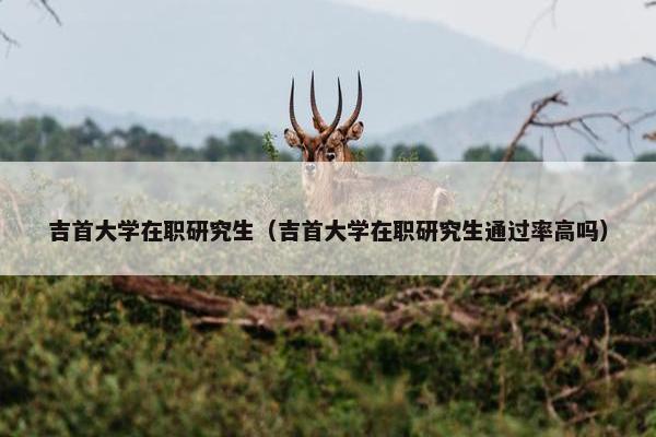吉首大学在职研究生（吉首大学在职研究生通过率高吗）