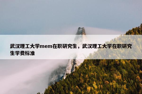 武汉理工大学mem在职研究生，武汉理工大学在职研究生学费标准