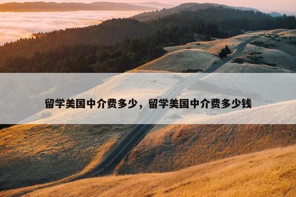 留学美国中介费多少，留学美国中介费多少钱