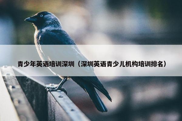 青少年英语培训深圳（深圳英语青少儿机构培训排名）