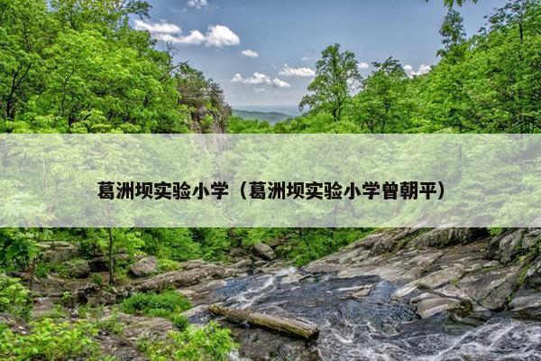 葛洲坝实验小学（葛洲坝实验小学曾朝平）