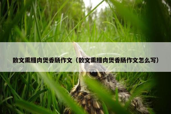 散文熏腊肉煲香肠作文（散文熏腊肉煲香肠作文怎么写）