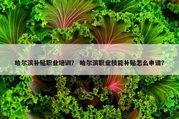 哈尔滨补贴职业培训？ 哈尔滨职业技能补贴怎么申请？