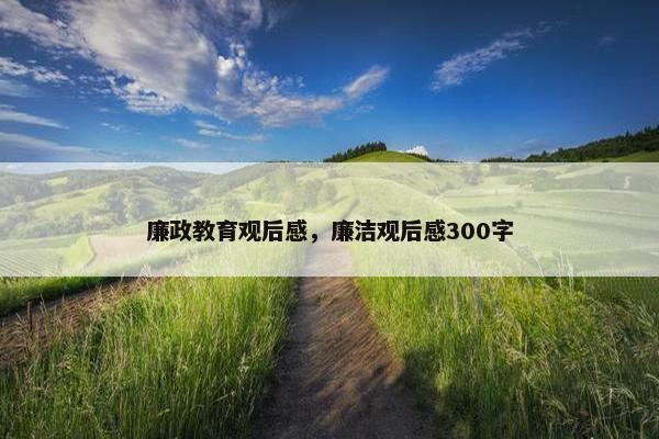 廉政教育观后感，廉洁观后感300字