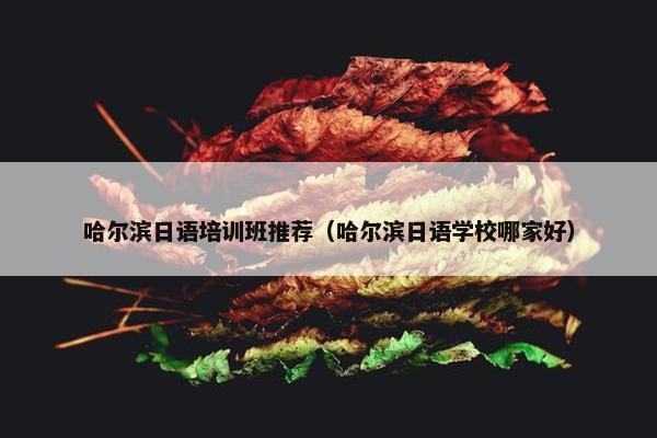 哈尔滨日语培训班推荐（哈尔滨日语学校哪家好）