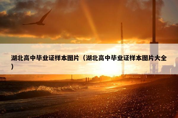 湖北高中毕业证样本图片（湖北高中毕业证样本图片大全）