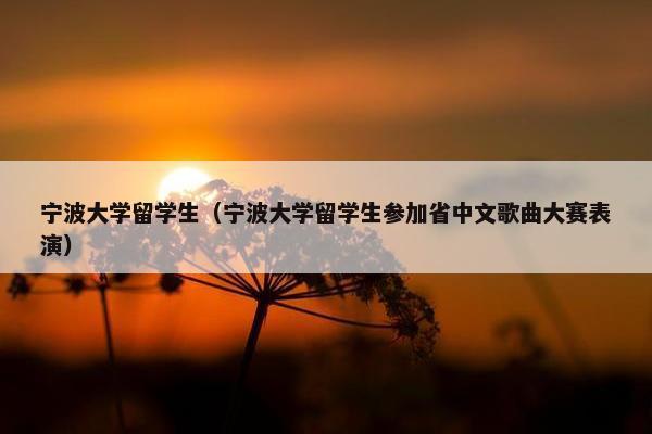 宁波大学留学生（宁波大学留学生参加省中文歌曲大赛表演）
