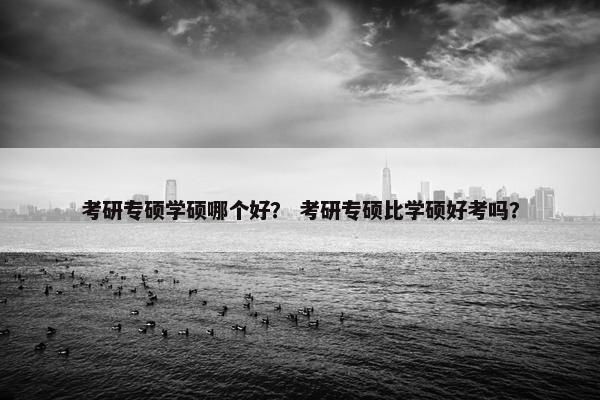 考研专硕学硕哪个好？ 考研专硕比学硕好考吗？