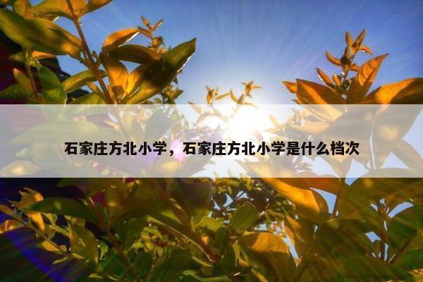 石家庄方北小学，石家庄方北小学是什么档次