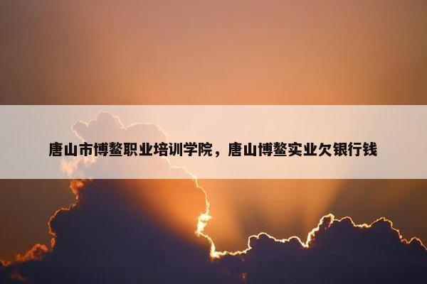 唐山市博鳌职业培训学院，唐山博鳌实业欠银行钱