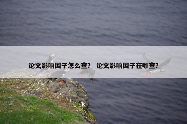 论文影响因子怎么查？ 论文影响因子在哪查？