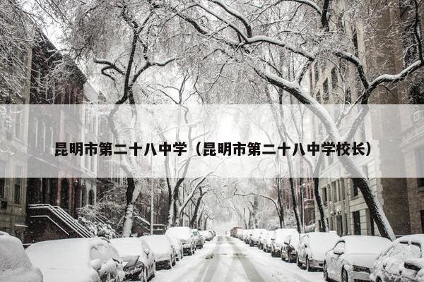 昆明市第二十八中学（昆明市第二十八中学校长）
