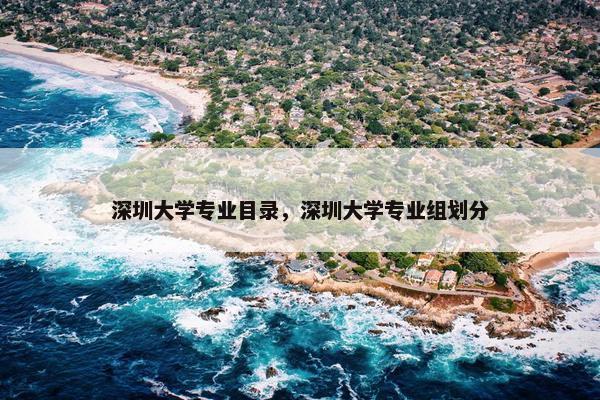 深圳大学专业目录，深圳大学专业组划分