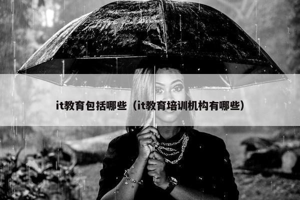 it教育包括哪些（it教育培训机构有哪些）