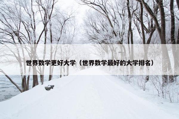 世界数学更好大学（世界数学最好的大学排名）