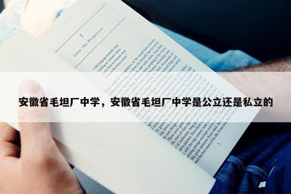 安徽省毛坦厂中学，安徽省毛坦厂中学是公立还是私立的