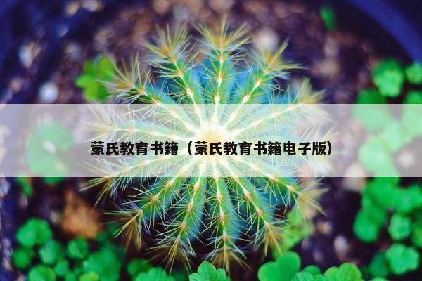 蒙氏教育书籍（蒙氏教育书籍电子版）