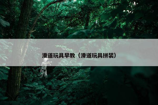 滑道玩具早教（滑道玩具拼装）