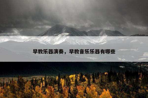 早教乐器演奏，早教音乐乐器有哪些
