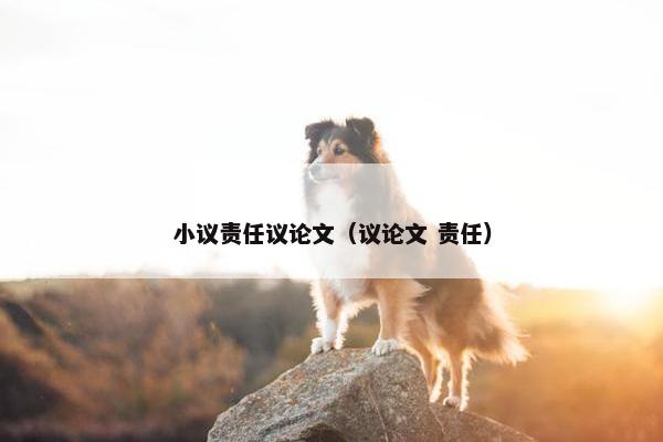 小议责任议论文（议论文 责任）