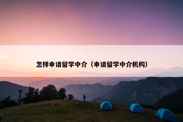 怎样申请留学中介（申请留学中介机构）