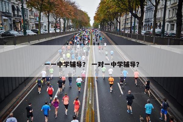 一一中学辅导？ 一对一中学辅导？