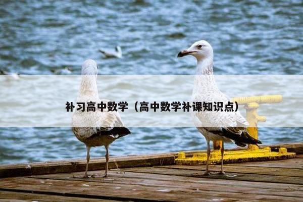 补习高中数学（高中数学补课知识点）