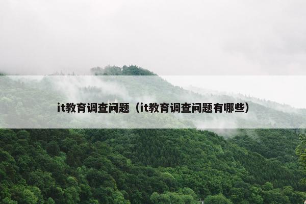 it教育调查问题（it教育调查问题有哪些）