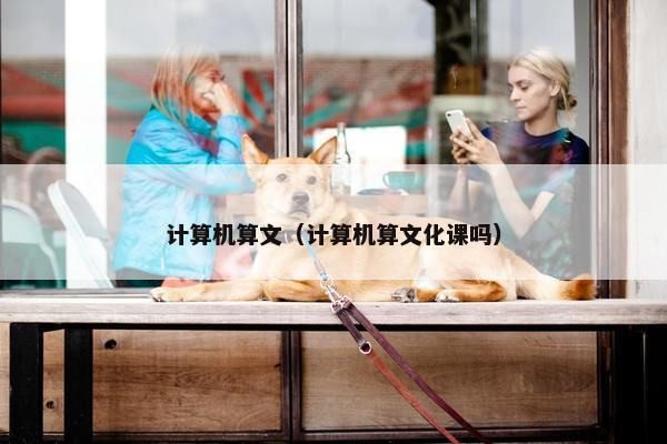 计算机算文（计算机算文化课吗）