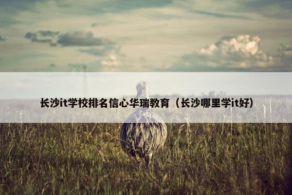 长沙it学校排名信心华瑞教育（长沙哪里学it好）