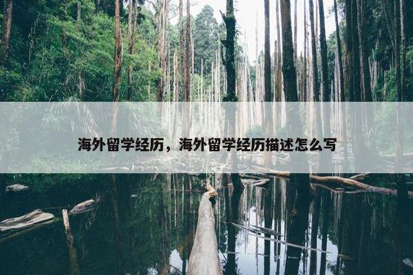 海外留学经历，海外留学经历描述怎么写