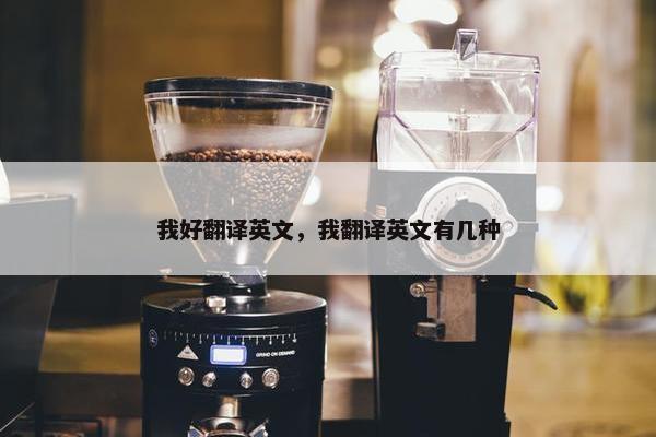 我好翻译英文，我翻译英文有几种