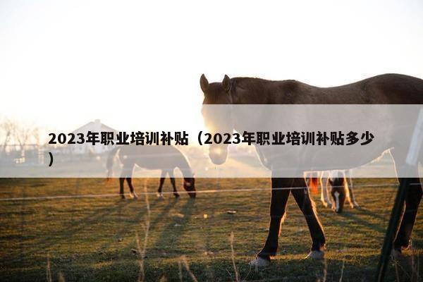 2023年职业培训补贴（2023年职业培训补贴多少）