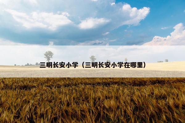 三明长安小学（三明长安小学在哪里）