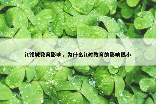 it领域教育影响，为什么it对教育的影响很小