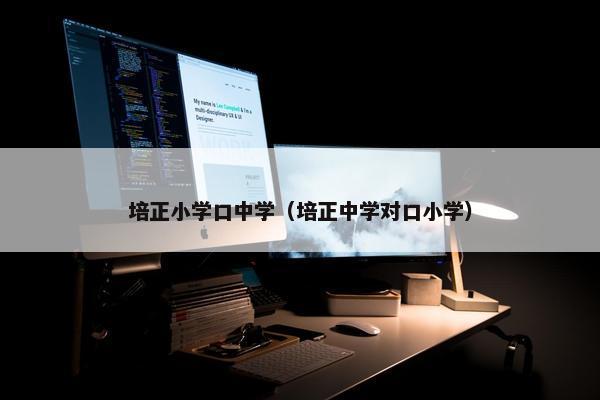 培正小学口中学（培正中学对口小学）