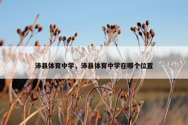 沛县体育中学，沛县体育中学在哪个位置