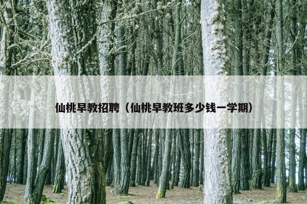 仙桃早教招聘（仙桃早教班多少钱一学期）