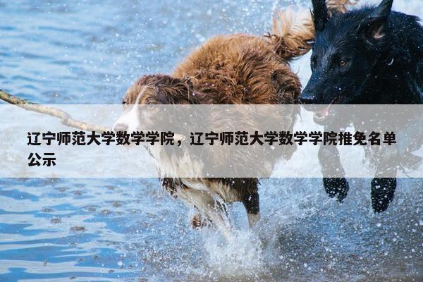 辽宁师范大学数学学院，辽宁师范大学数学学院推免名单公示